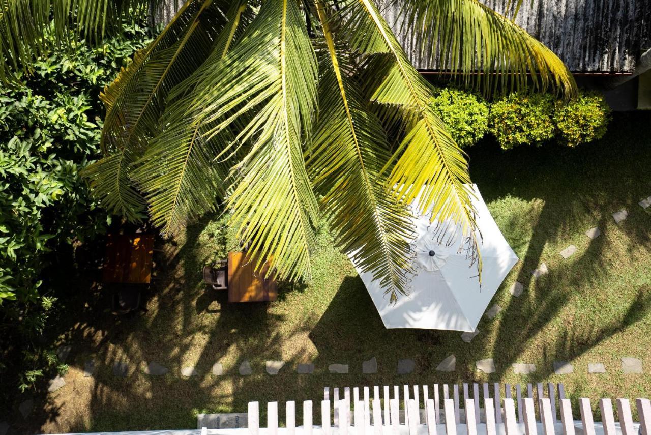Plantation Surf Inn & Restaurant - Midigama Midigama East Exterior foto